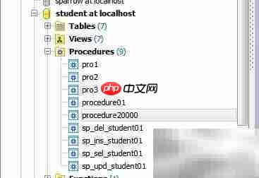 Maestro存储过程参数添加指南