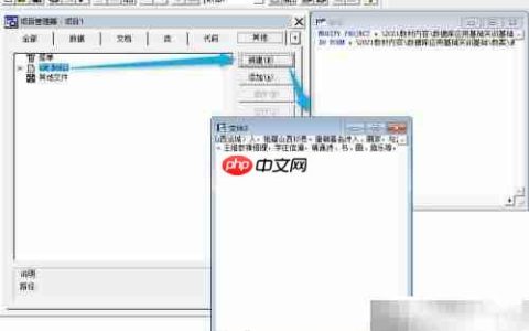 vf6.0表单显示文本内容