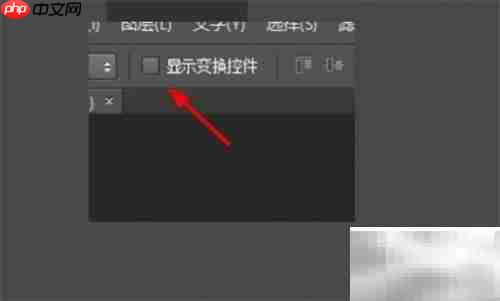 PS取消显示变换控件步骤