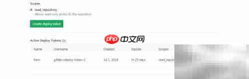 GitLab项目Deploy Tokens配置指南