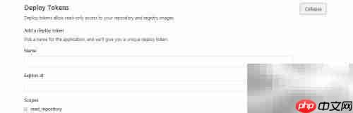 GitLab项目Deploy Tokens配置指南