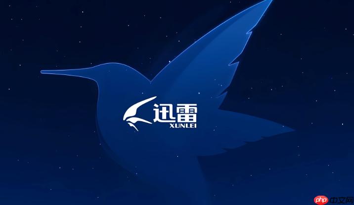迅雷网盘如何批量重命名文件 迅雷网盘高效整理的命名规则