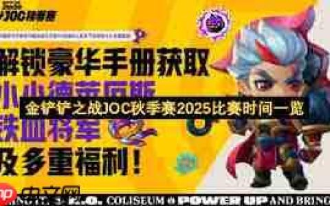 火石记牌器不显示记牌器怎么办