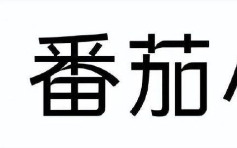 番茄小说怎么备份书架数据_番茄小说备份书架数据操作指南