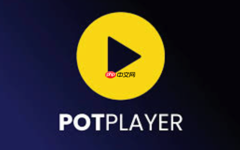 Potplayer如何调整字幕同步_Potplayer字幕同步调整的详细步骤