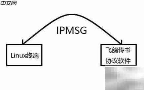 Linux飞鸽传书：网络通信实战