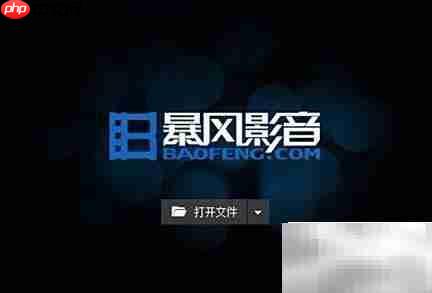 FLAC格式播放方法
