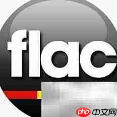 FLAC格式播放方法