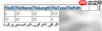 ASP.NET GridView操作数据库