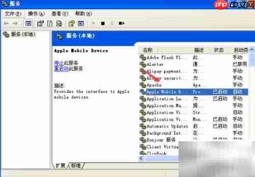 Apple Mobile启动失败