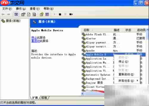 Apple Mobile启动失败