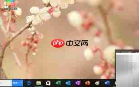 WPS自定义文字方向技巧