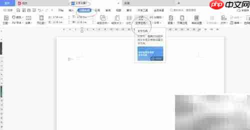 WPS自定义文字方向技巧