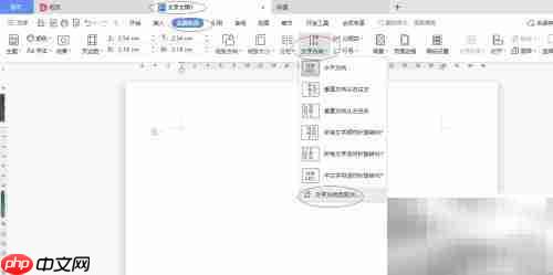 WPS自定义文字方向技巧