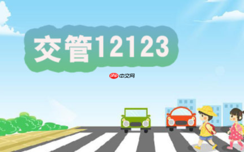 交管12123查看业务办理进度怎么查_交管12123查看业务办理进度详细