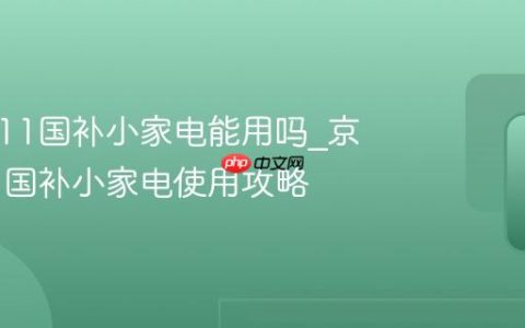 京东双11国补小家电能用吗_京东双11国补小家电使用攻略