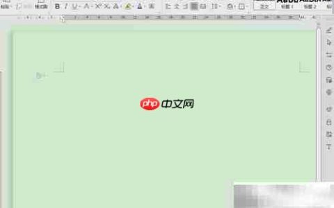 WPS文档校对技巧