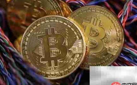Soft Money的含义解析