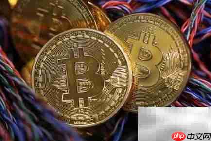 Soft Money的含义解析