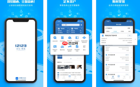 交管12123期满换证照片上传要求是什么_交管12123期满换证照片上传规范