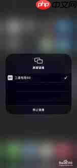 天天跳绳投屏搜不到电视怎么解决