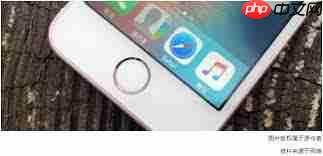 iPhone为何放弃指纹解锁