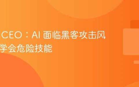 前谷歌 CEO：AI 面临黑客攻击风险，或学会危险技能