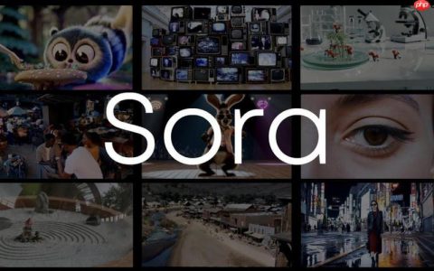 Sora扩展功能怎么解锁_Sora高级功能解锁与使用教程步骤