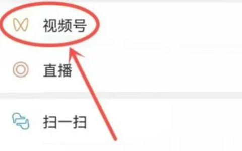 视频号如何投放广告？如何实现盈利？视频号广告投放与盈利实战指南：从入门到爆单的完整攻略