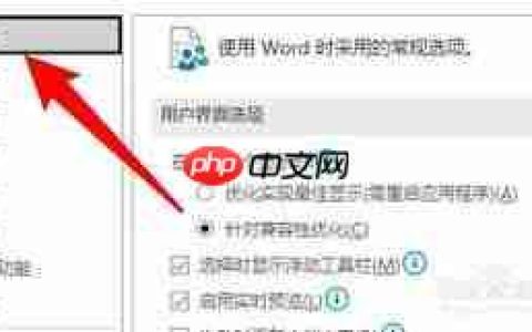 如何在Word中关闭实时预览功能