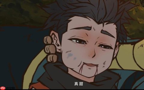 红果漫剧APP闪退怎么处理_红果漫剧APP闪退问题排查