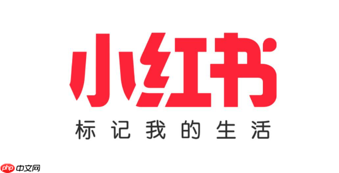 小红书千帆PC端有哪些优势_小红书千帆PC端平台优势分析