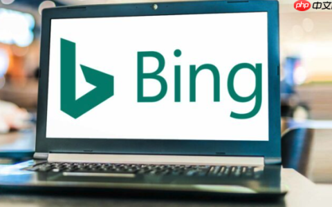 Bing浏览器怎么管理密码_Bing浏览器密码保存与自动填充设置