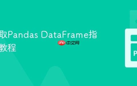 高效选取Pandas DataFrame指定元素教程