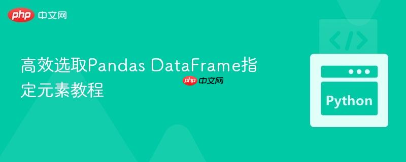 高效选取Pandas DataFrame指定元素教程