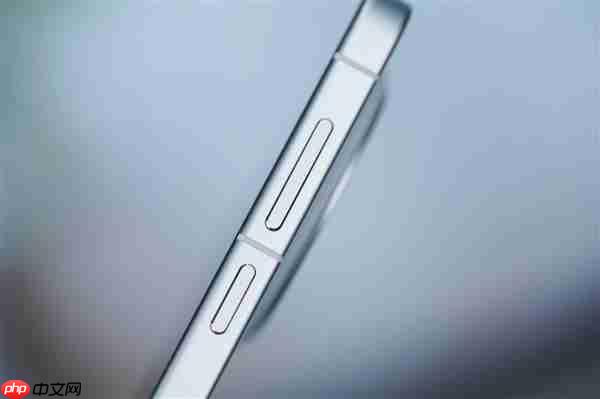 满血2亿灭霸主摄!vivo X300图赏
