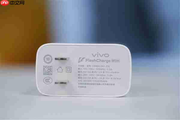 满血2亿灭霸主摄!vivo X300图赏
