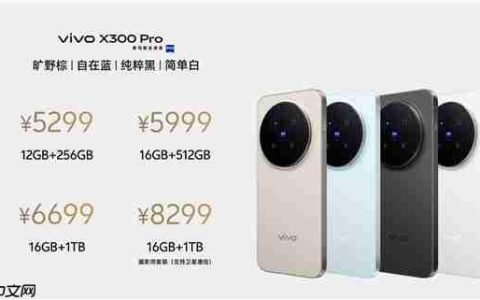 影像最强旗舰！vivo X300 Pro发布：5299元起