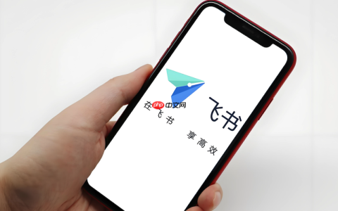 飞书聊天内容错位如何处理