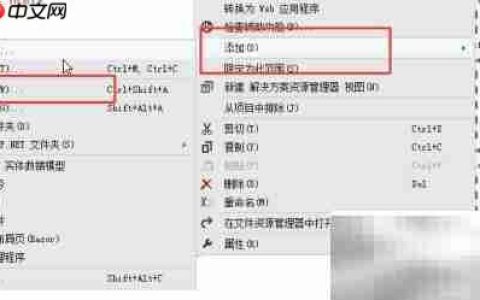 C Razor母版页使用指南