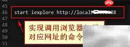 Java自启动路径设置作用