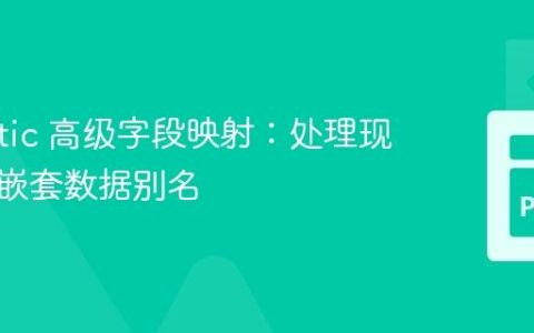 Pydantic 高级字段映射：处理现有键与嵌套数据别名