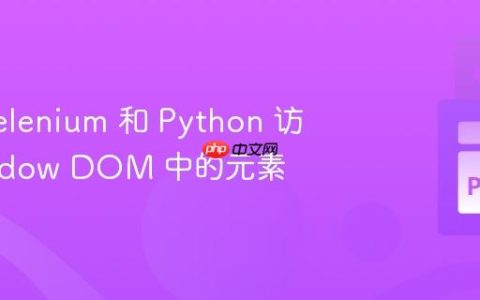 使用 Selenium 和 Python 访问 Shadow DOM 中的元素