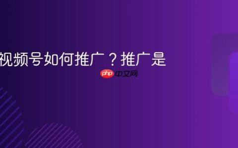 初期的视频号如何推广？推广是什么？
