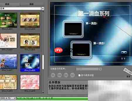 高清电影刻录DVD指南