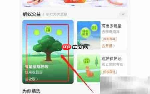 物种卡抽取技巧