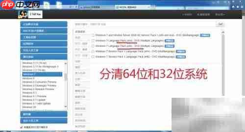 Windows系统下载指南