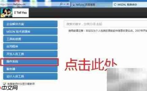 Windows系统下载指南