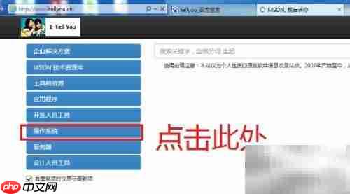 windows系统下载指南