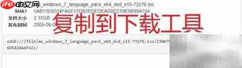 Windows系统下载指南